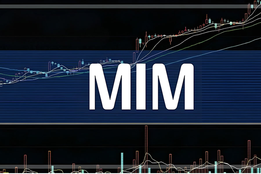 资本眼光聚焦MIM赛道，融资与上市共推行业进入快车道